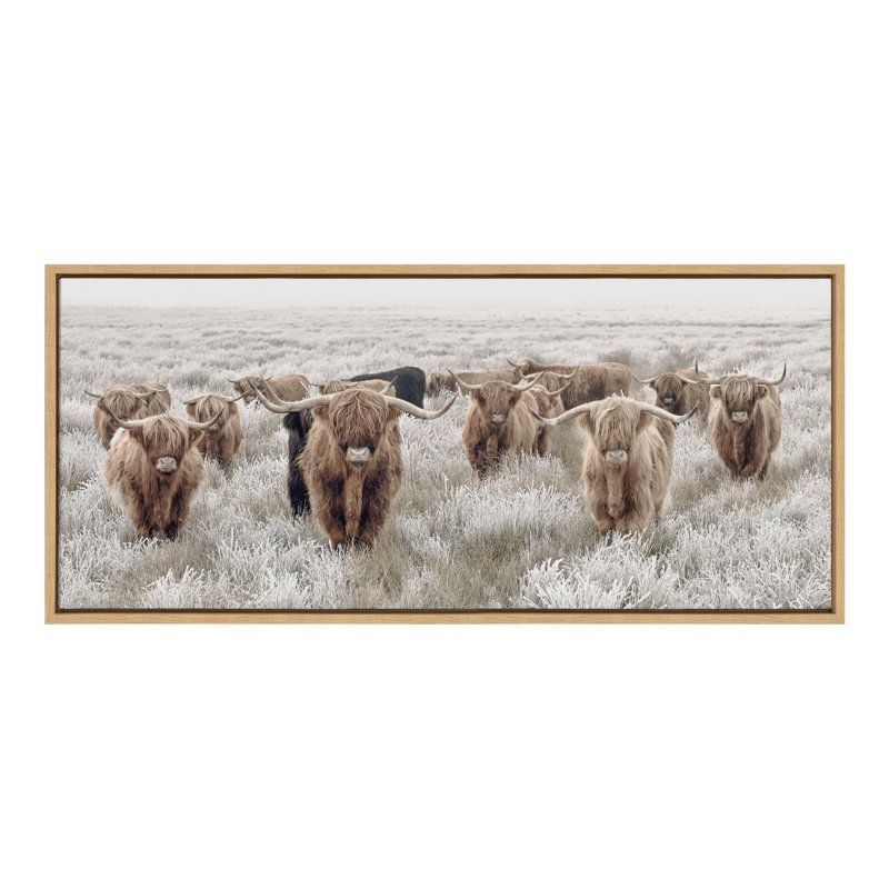 " Foundry Select Sylvie Herd Of Highland Cows Color " by The Creative Bunch Studio
